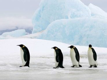 International Antarctic Centre