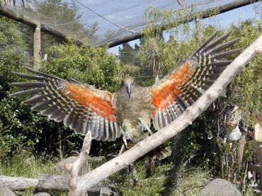 Orana Wildlife Park